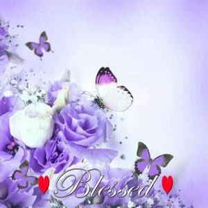 Meet your Posher, Judy